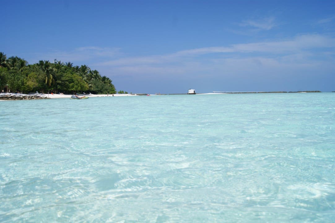 Das kann kein Pool der Welt toppen Summer Island Maldives