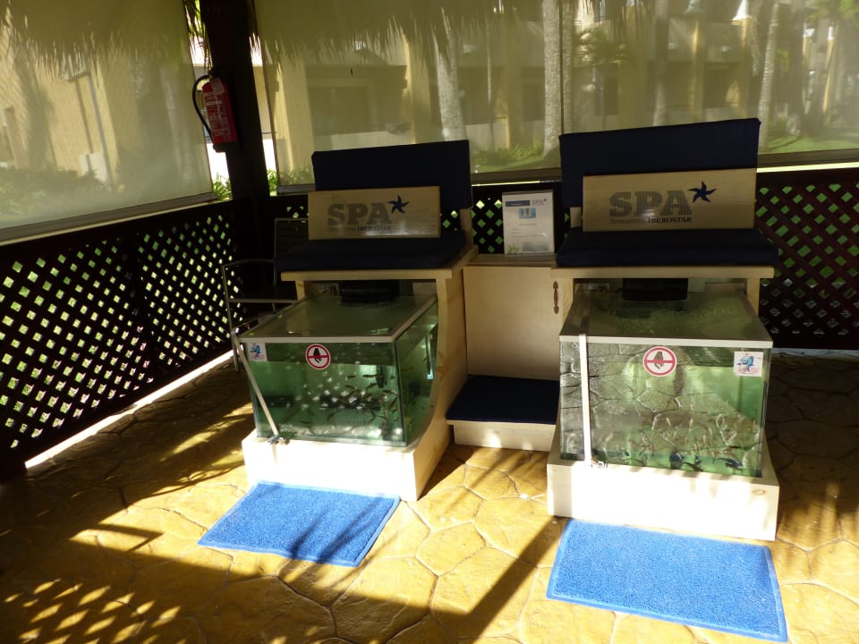 Spa Bereich mit kleinen Fischen für die Pediküre Iberostar Waves Costa Dorada