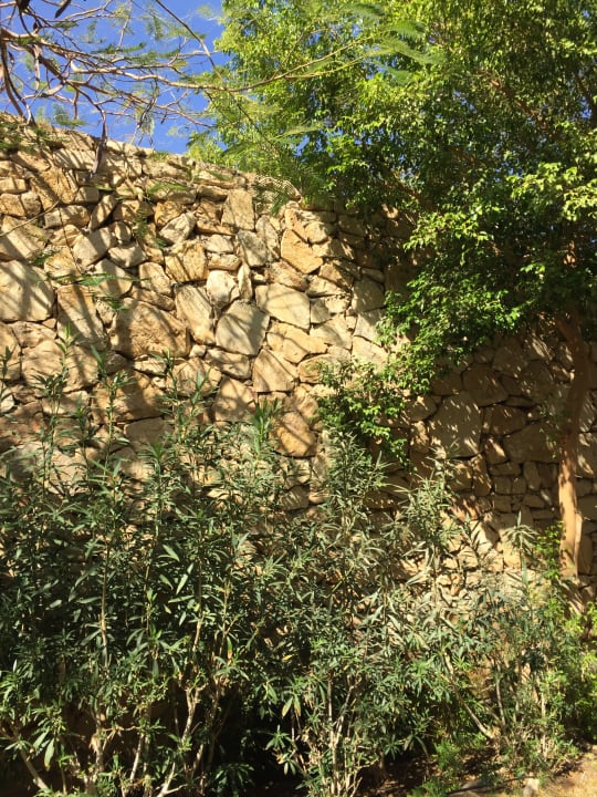 Gartenanlage Stella Beach Resort & Spa Makadi Bay