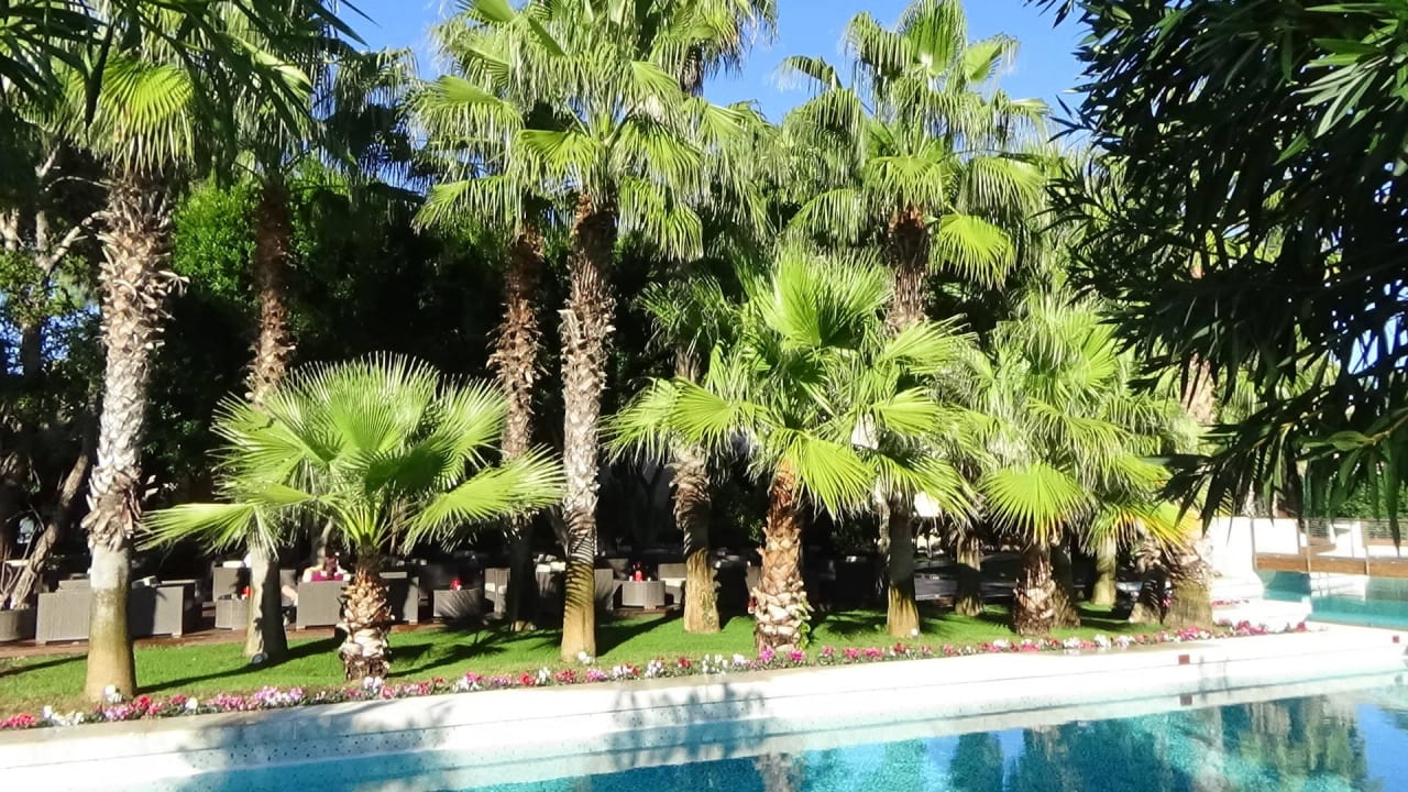 Details... Gloria Serenity Resort