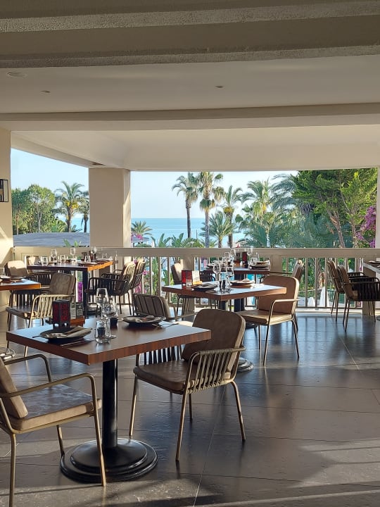 Gastro PALOMA Perissia