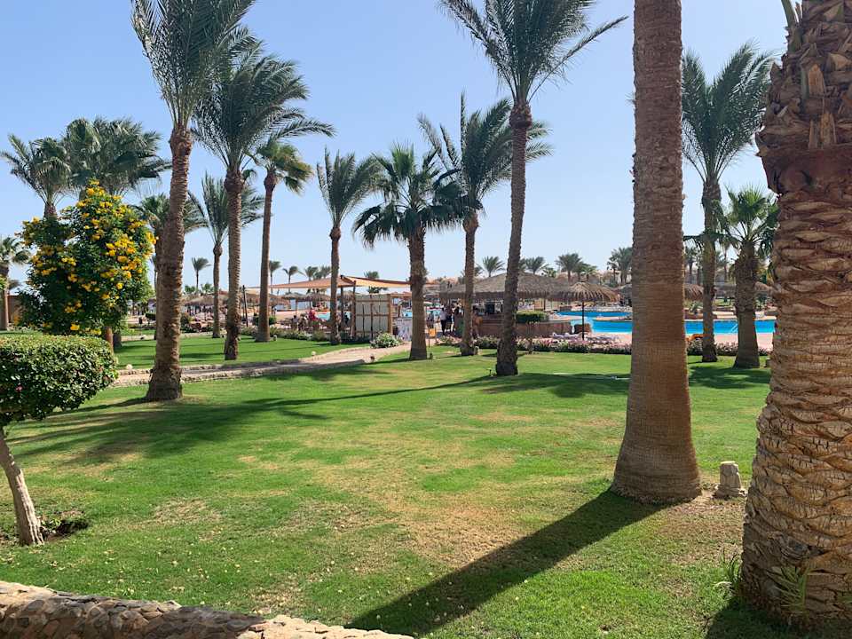 Gartenanlage Three Corners Sea Beach Resort