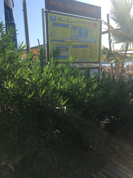 Strand Royal Holiday Palace