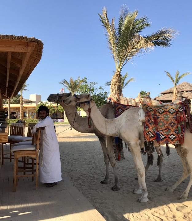 Sonstiges ROBINSON SOMA BAY