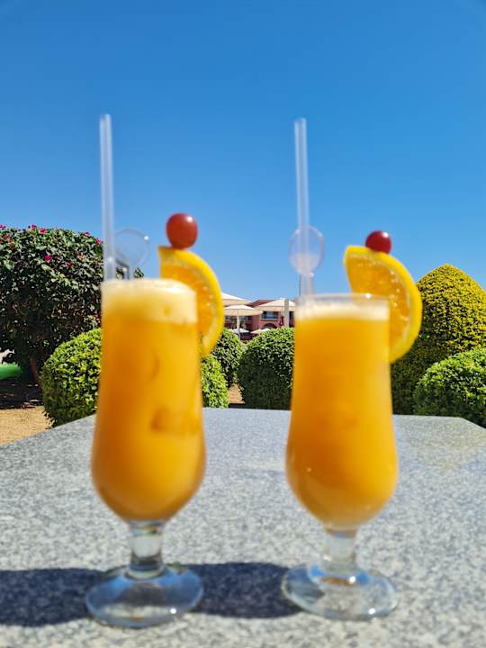 Gastro Pickalbatros Laguna Vista Hotel