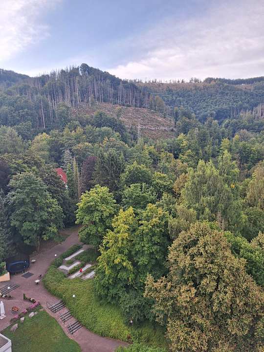 Ausblick Panoramic - Ihr Apartmenthotel im Harz