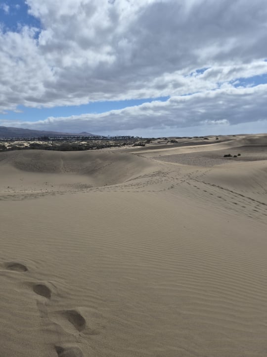 Strand Hotel Riu Palace Oasis