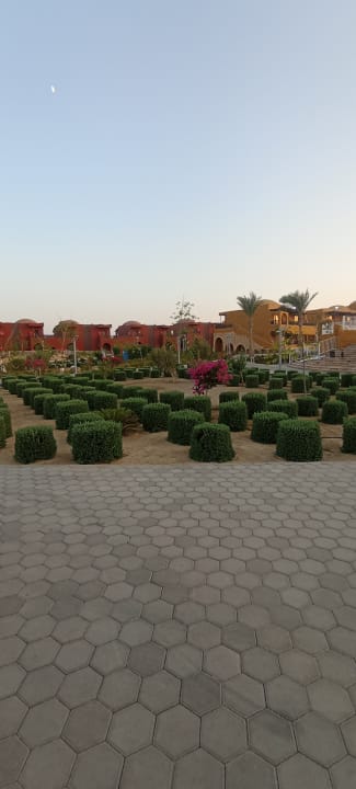 Gartenanlage Pickalbatros Vita Resort - Portofino Marsa Alam