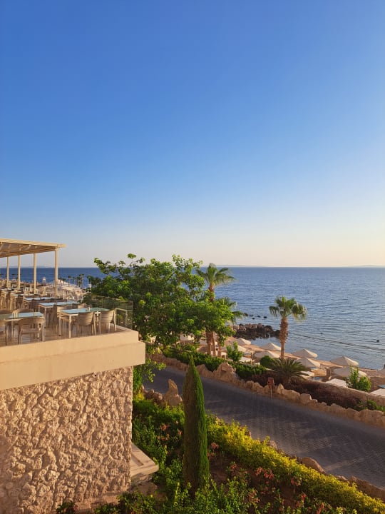 Ausblick Pickalbatros Citadel Resort