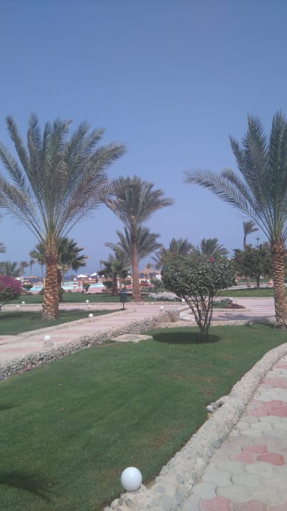 Spacerkiem po hotelu Three Corners Sea Beach Resort