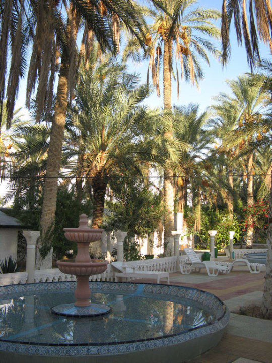 Ogród Hotel Le Saharien Paradise