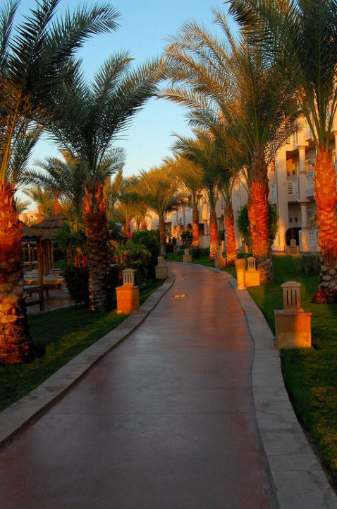 Wegenetz Pickalbatros Palace Resort