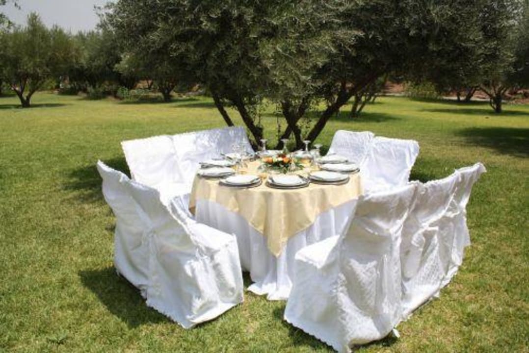 Garden Acacia Villa Marrakech