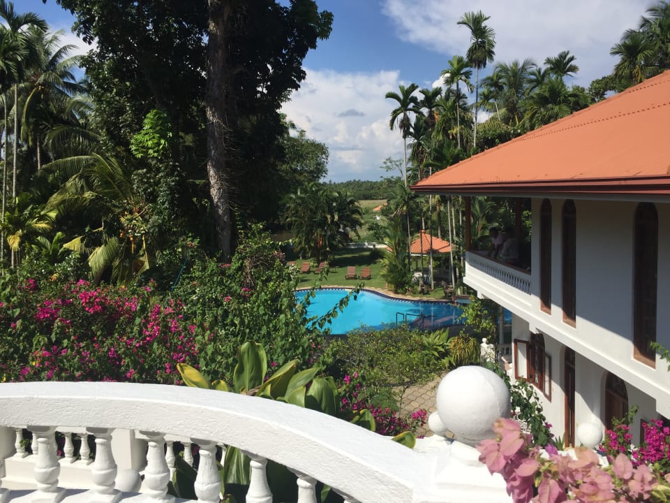 Ausblick Ayubowan Swiss Lanka Bungalow Resort