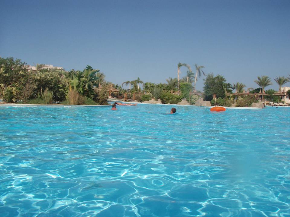 Der Blick von der Poolbar Pickalbatros Palace Resort