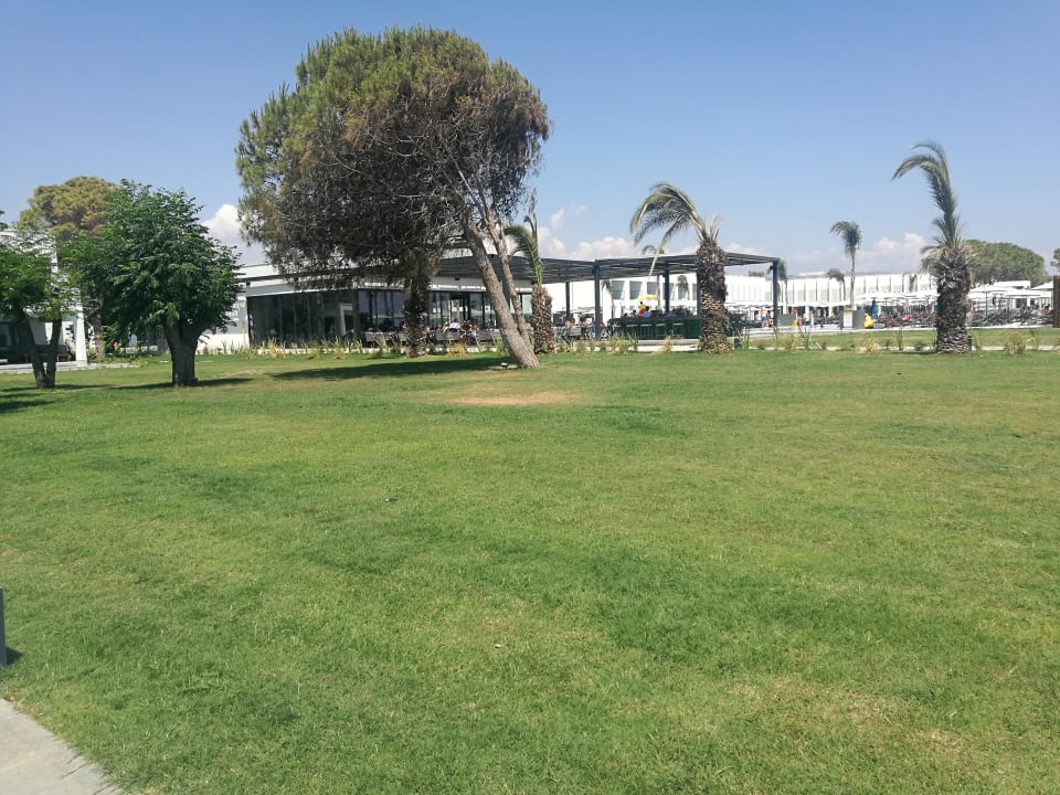 Gastro Paloma Finesse