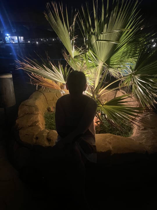 Gartenanlage Three Corners Sea Beach Resort