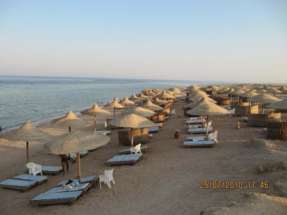 Strandbereich Sea Life Charmillion Sea Life Resort