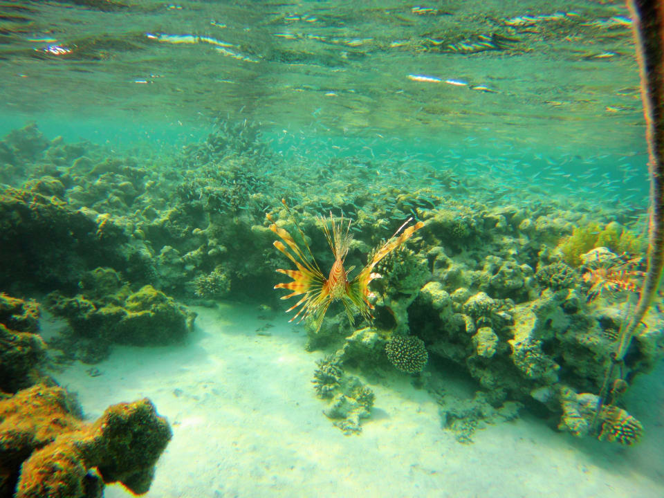 Strand Grand Waterworld Makadi & Family Star Makadi