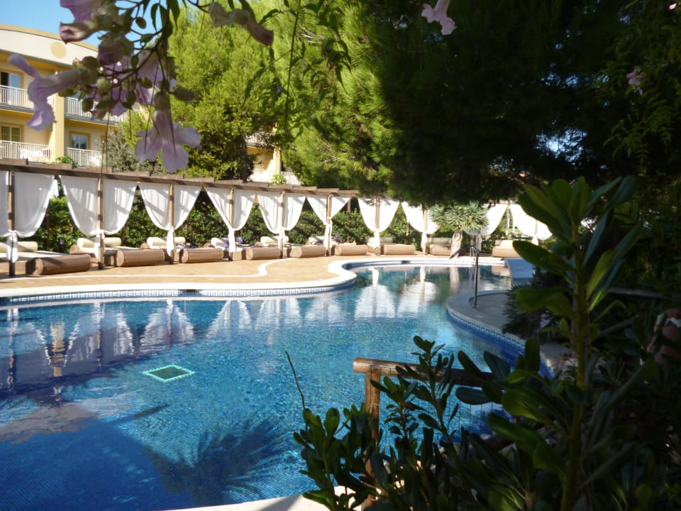 Ü 18 Pool Zafiro Mallorca