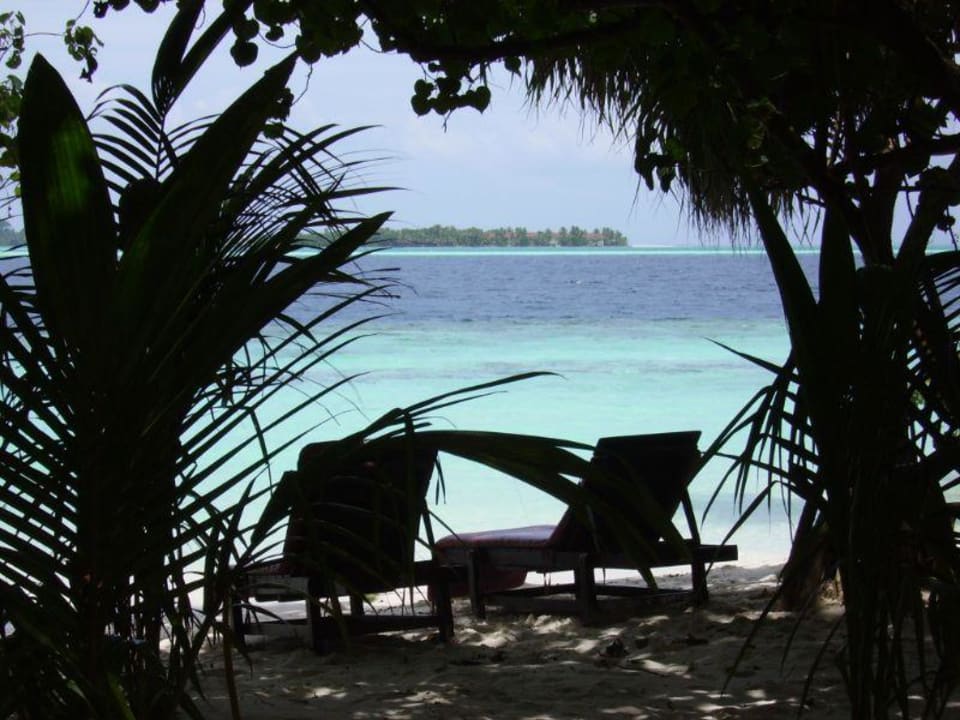 Schöne Aussicht Vilamendhoo Island Resort & Spa