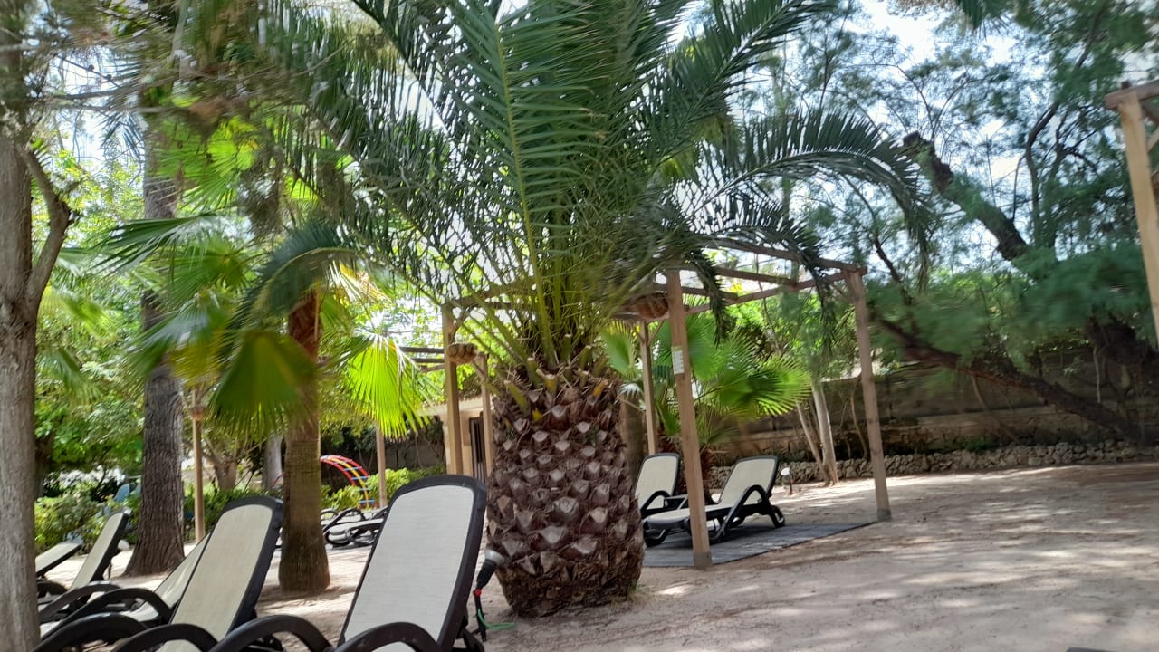 Pool Aparthotel Houm Plaza Son Rigo