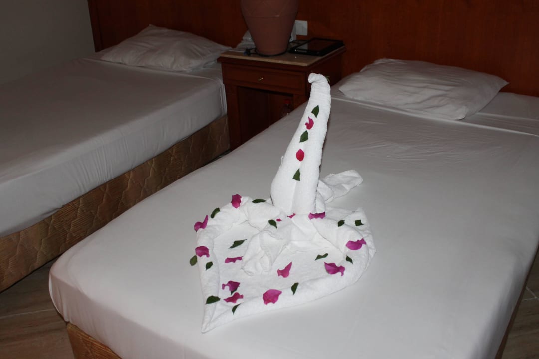 Schwan Malikia Resort Abu Dabbab