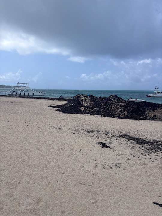 Strand Meliá Punta Cana Beach Resort - A Wellness Inclusive For Adults Only