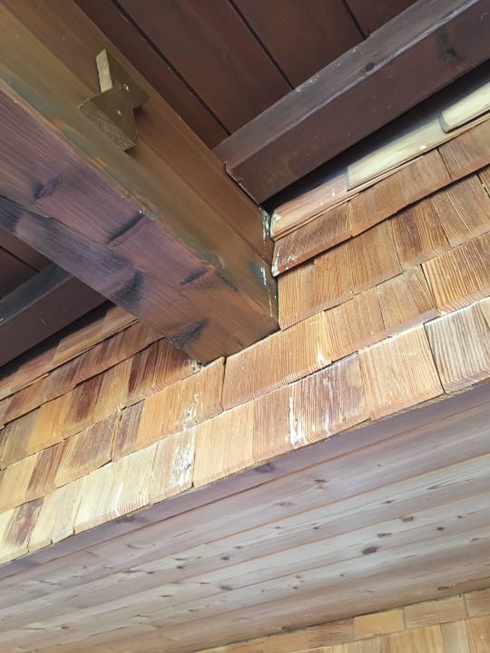 Vogelkot am Balkon Hotel Post Lermoos