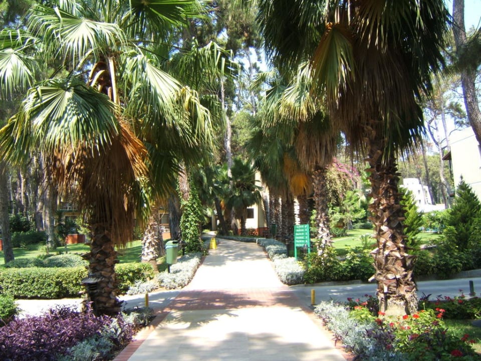 Ogród Turquoise Hotel