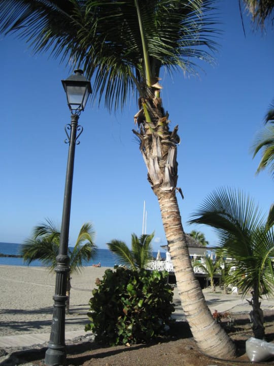 Strand nur wenige Minuten vom Hotel Gran Tacande Wellness & Relax Costa Adeje