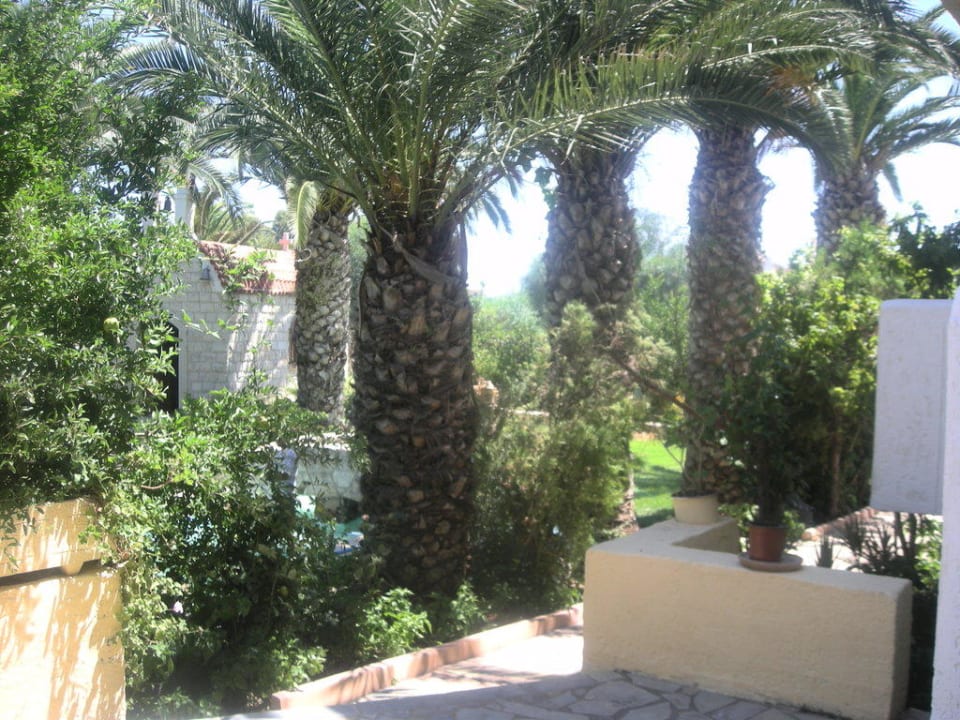 W tle kapliczka Lili Hotel