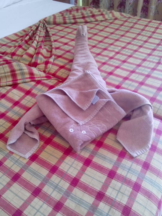 2015 SBH Club Paraiso Playa