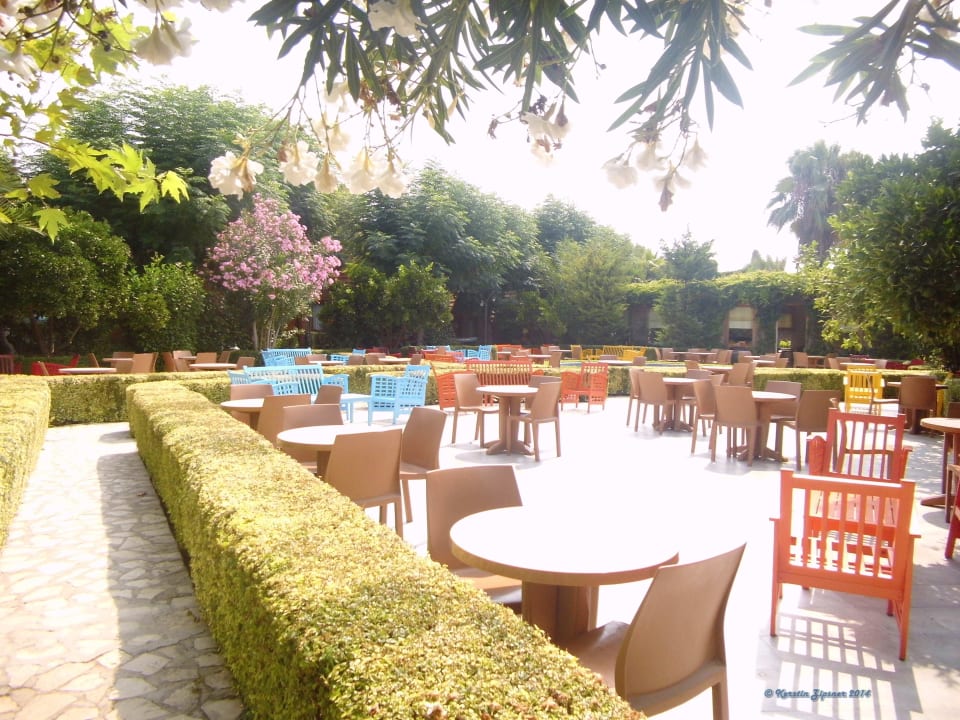 Kleopatrabar Can Garden Beach