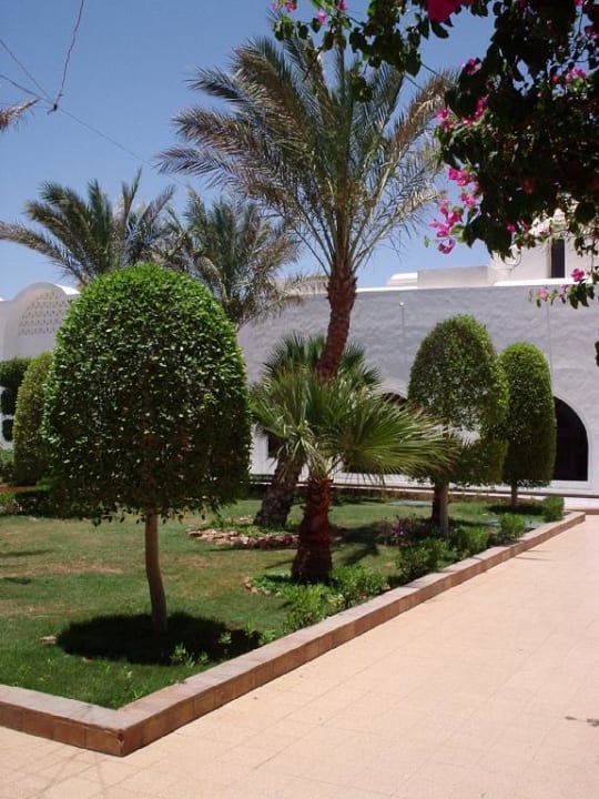 Die Gartenanlage. Alles auf den mm genau Arabella Azur Resort
