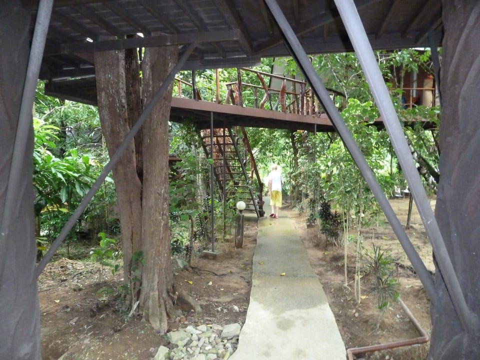 Weg zum Baumhaus Khao Sok Paradise Resort