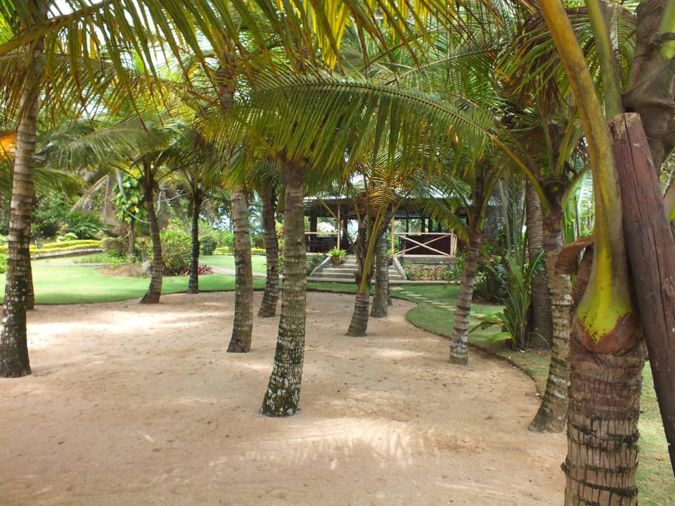 Palmenhain Hotel Bom Bom Island Resort