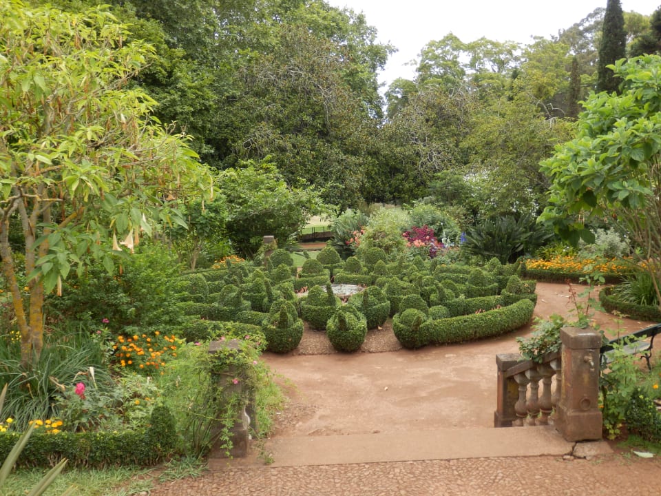 Palheiro Garden - Garten der Dame Hotel Casa Velha do Palheiro