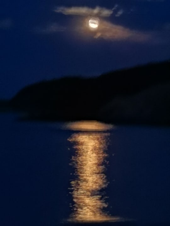 Ausblick Hotel Apollon