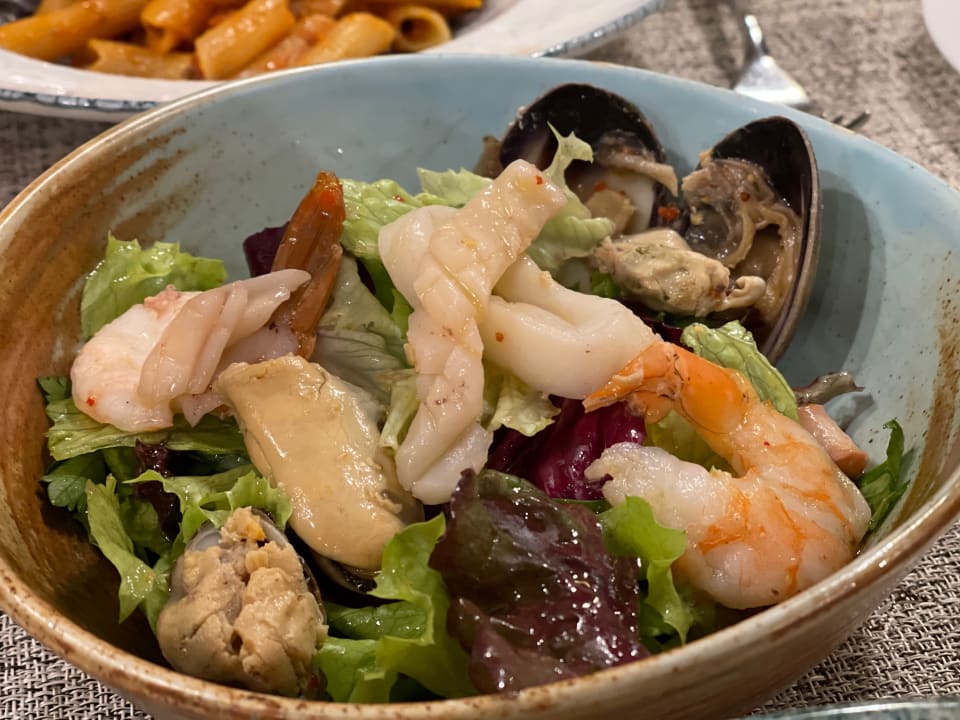 Gastro Acanthus Cennet Barut Collection