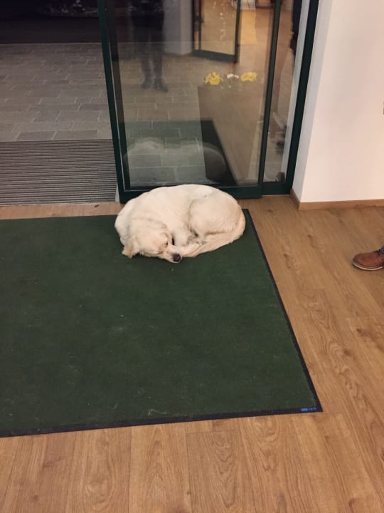 Sussi Zur Grünen Au