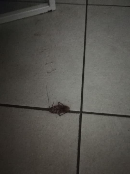 Zimmer Servatur Playa Bonita