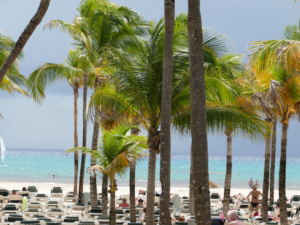 Strand Hotel Riu Tequila