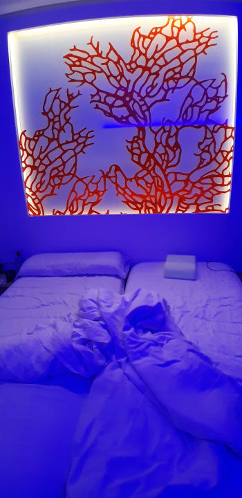 Zimmer The Sea Hotel by Grupotel - Adults only