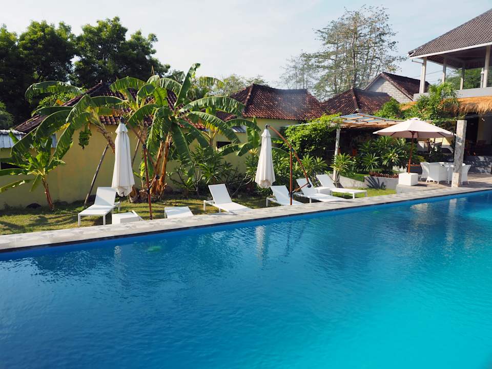 Gartenanlage Scuba Tribe Bali dive-resort