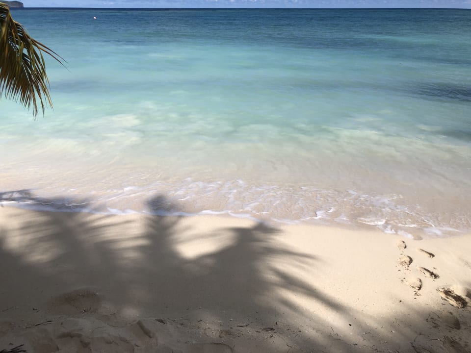 Strand Wyndham Alltra Samana