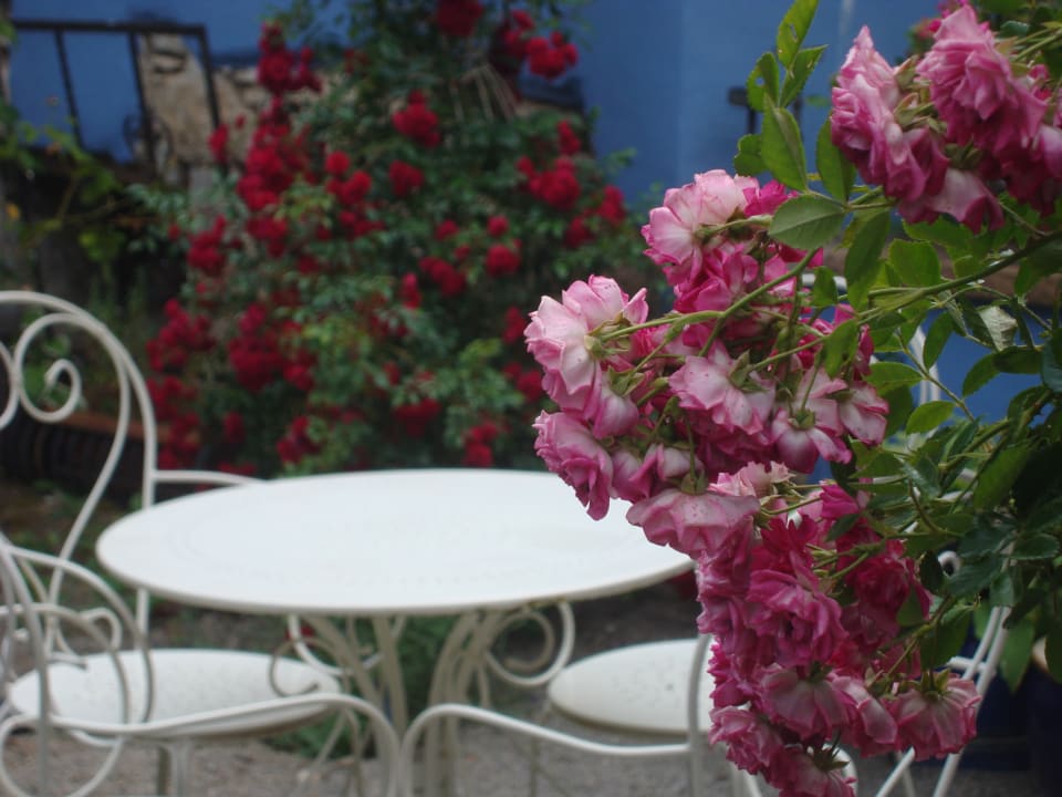 Gartenanlage Gästehaus No. 31 im Rosengarten