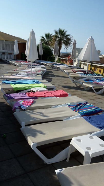 Pool blau punta reina