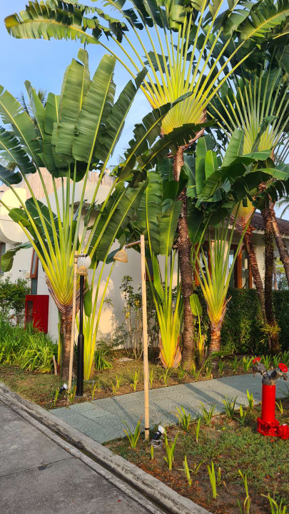 Gartenanlage Kantary Beach Hotel - KHAO LAK