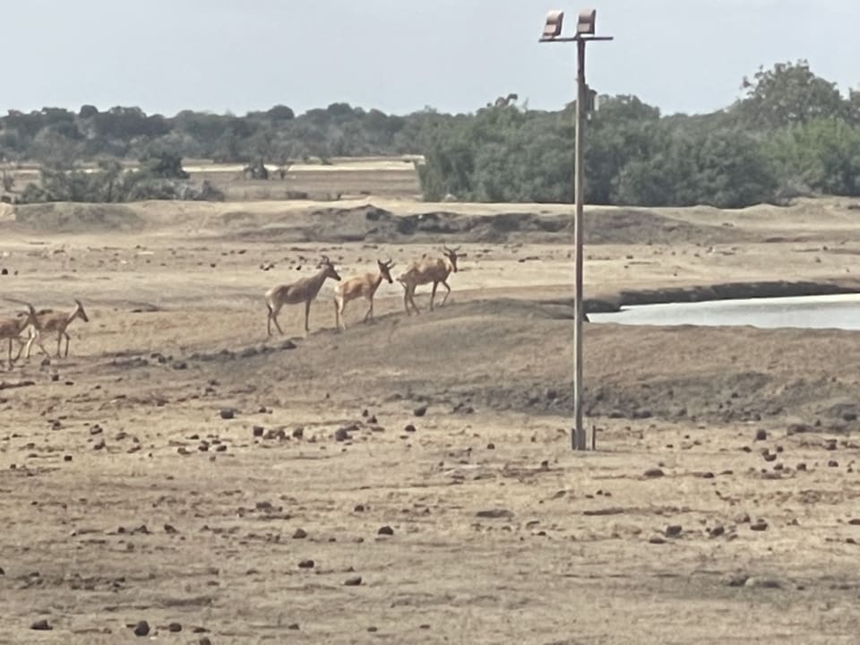 Strand Satao Camp